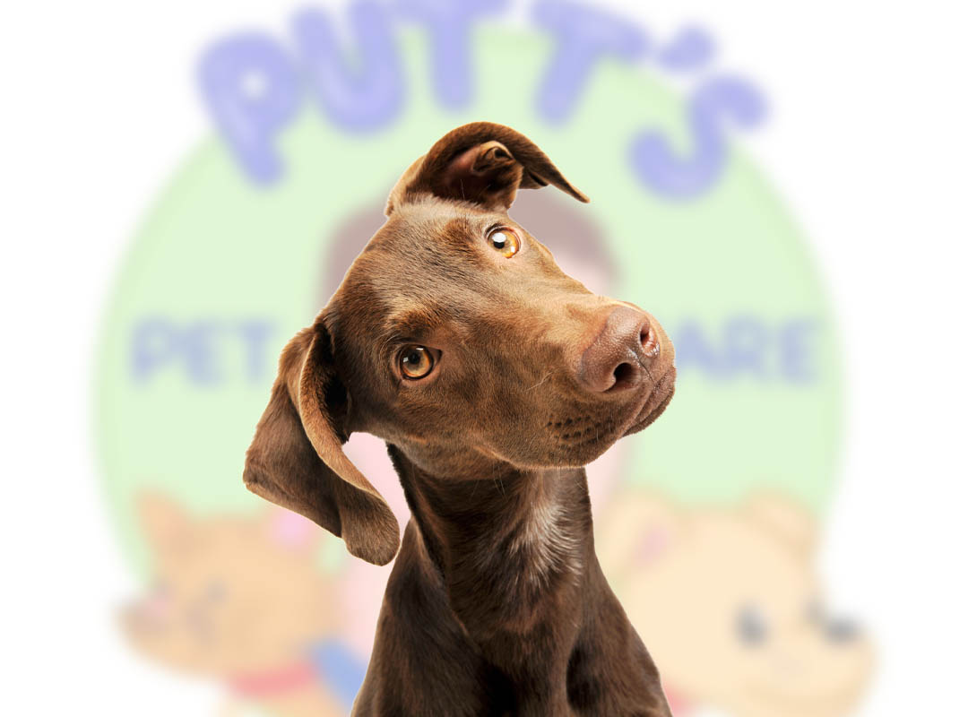 Putt's Pet Care